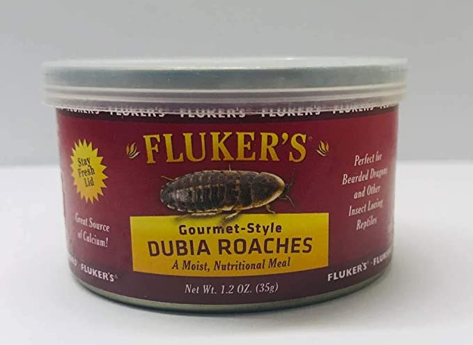 GDR Gourmet Dubia Roaches.jpg (31028 bytes)